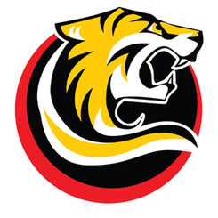 桑德林汉姆军刀女篮